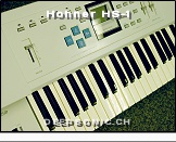 Hohner HS-1 - Top View * …