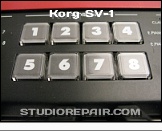 Korg SV-1 - Panel - Buttons * …