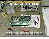 Roland TB-303 - Laboratory Diagnostics * …