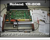 Roland TR-808 - Testing * Testing…